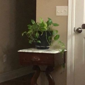 Meet your Posher, Thamera